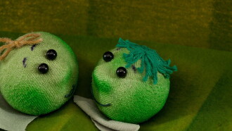 Pea Children Trailer