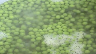 Peas Trailer