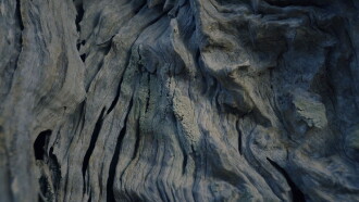 Pedra i oli Trailer