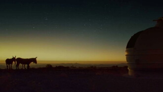 perfectly a strangeness Trailer