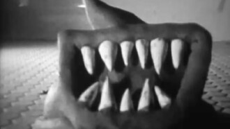 Pervula Trailer