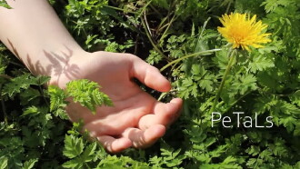 PeTaLs Trailer