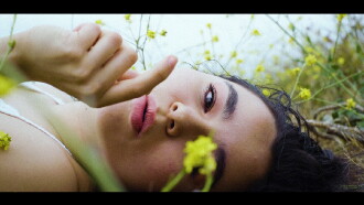 Petals Trailer