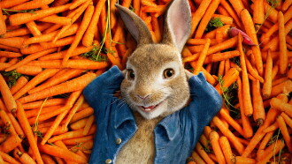 Peter Rabbit Trailer