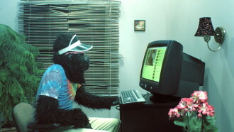 Peter's Computer - Gorilla Video Trailer