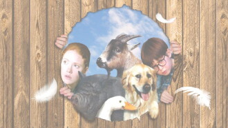 Pets Trailer
