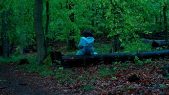Pfaffendorf Forest Trailer