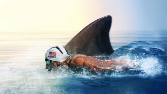 Phelps vs Shark Trailer