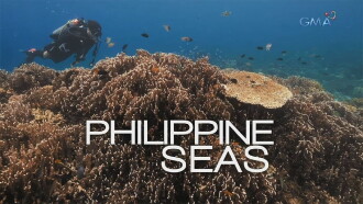 Philippine Seas Trailer