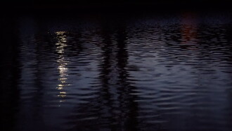 Phosphenes Trailer