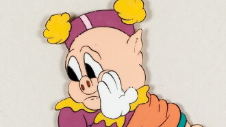 Picador Porky Trailer