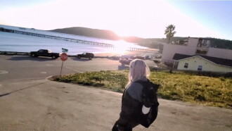 Piece of Paradise Trailer