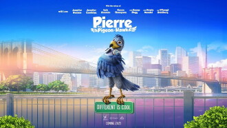 Pierre the Pigeon-Hawk Trailer