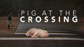 Pig at the Crossing Trailer