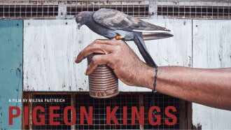 Pigeon Kings Trailer