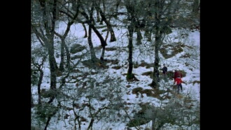 Pine Flat Trailer