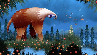 Pinea Trailer