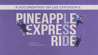 Pineapple Express Ride Trailer