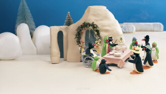Pingu at the Wedding Party Trailer