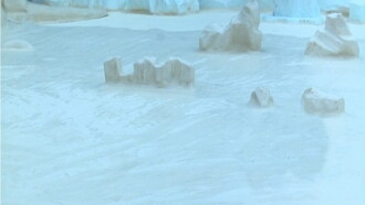 Pingu's Igloo Adventures Trailer
