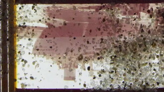 Pink Beach Red Desert Dream Sand Film Trailer