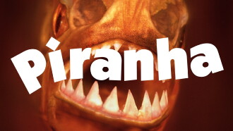 Piranha Trailer