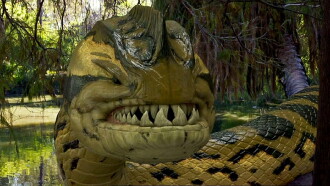 Piranhaconda Trailer