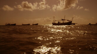 Pirating Pirates Trailer