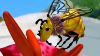 Plan Bee Trailer