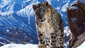 Planet Earth Trailer