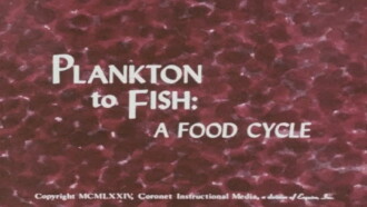 Plankton to Fish: A Food Cycle Trailer