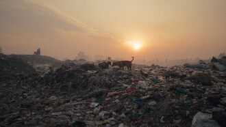 Plastic Fantastic Trailer