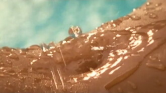 Playboy: Wet & Wild V Trailer