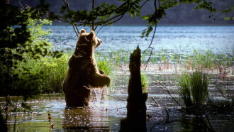 Plitvice - Land of Falling Lakes Trailer