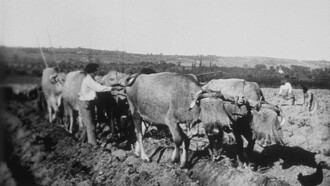 Ploughing Trailer