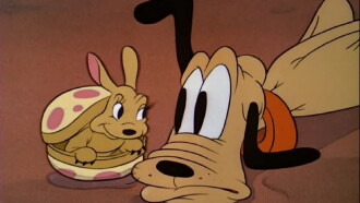 Pluto and the Armadillo Trailer