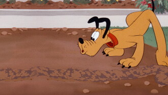 Pluto and the Gopher Trailer