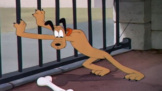 Pluto at the Zoo Trailer