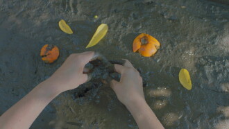 Poem of E.L. Trailer