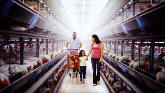 Poisoned: The Dirty Truth About Your Food Trailer