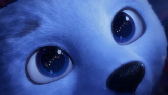 Polar Trailer