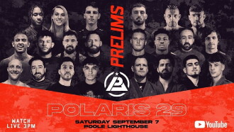 Polaris 29 Trailer