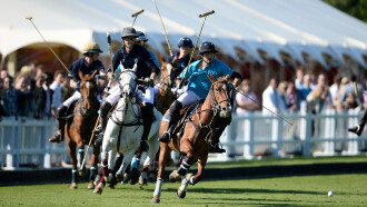 Polo Trailer