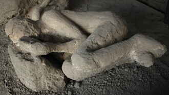 Pompeii: Secrets of the Dead Trailer