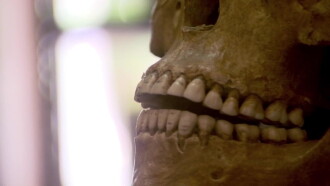 Pompeii: The Mystery of the People Frozen in Time Trailer