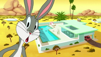 Pool Bunny Trailer