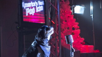 Pop Star Puppy Trailer