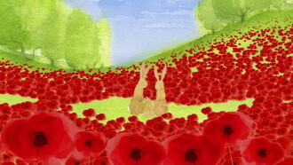 Poppies Trailer