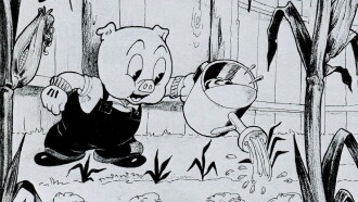 Porky's Garden Trailer