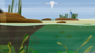 Pororoca Trailer